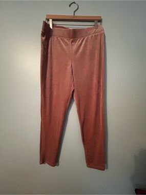 Ladies velour feel lounge pants in size large. Never worn